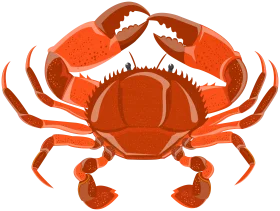 Detailed Illustration of a Bold Red Oceanic Crab Clipart Design