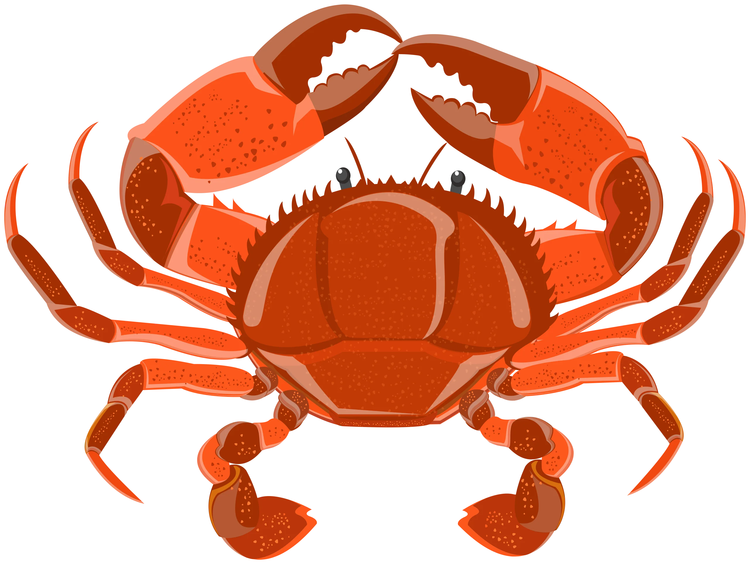 Detailed Illustration of a Bold Red Oceanic Crab Clipart Design