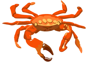 Detailed Orange Crab Clipart Illustration with Distinctive Shell and Pincer Design
