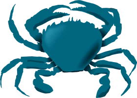 Elegant Teal Silhouette Crab Clipart with Detailed Anatomical Precision