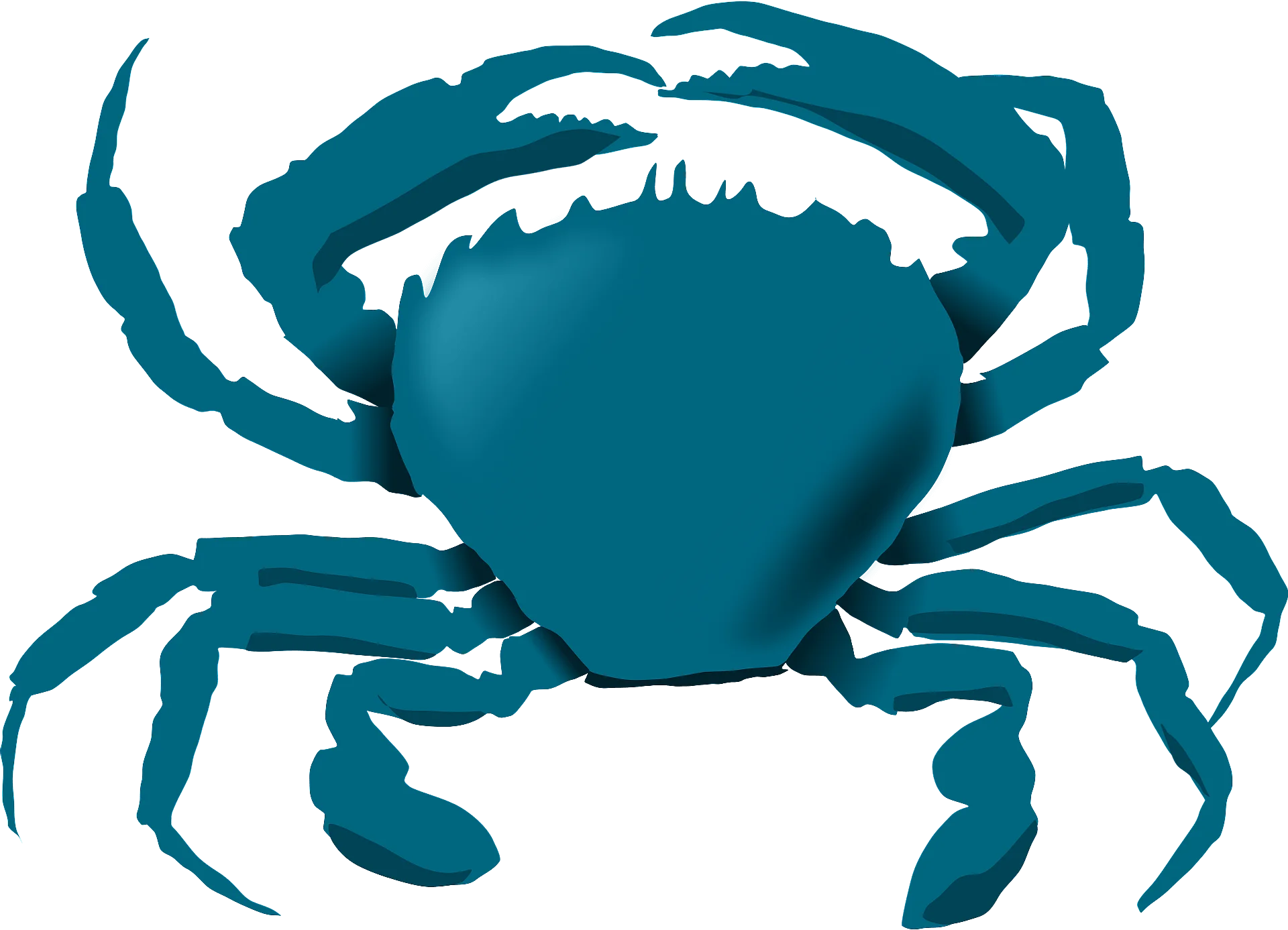 Elegant Teal Silhouette Crab Clipart with Detailed Anatomical Precision