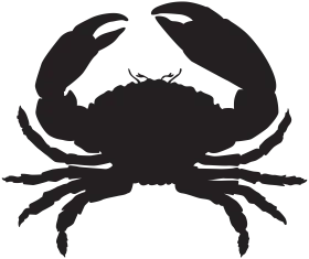Silhouette of a Detailed Crab Clipart with Distinct Shell and Claws