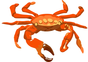 Stunning Orange Crustacean Clipart with Detailed Shell and Articulated Limbs