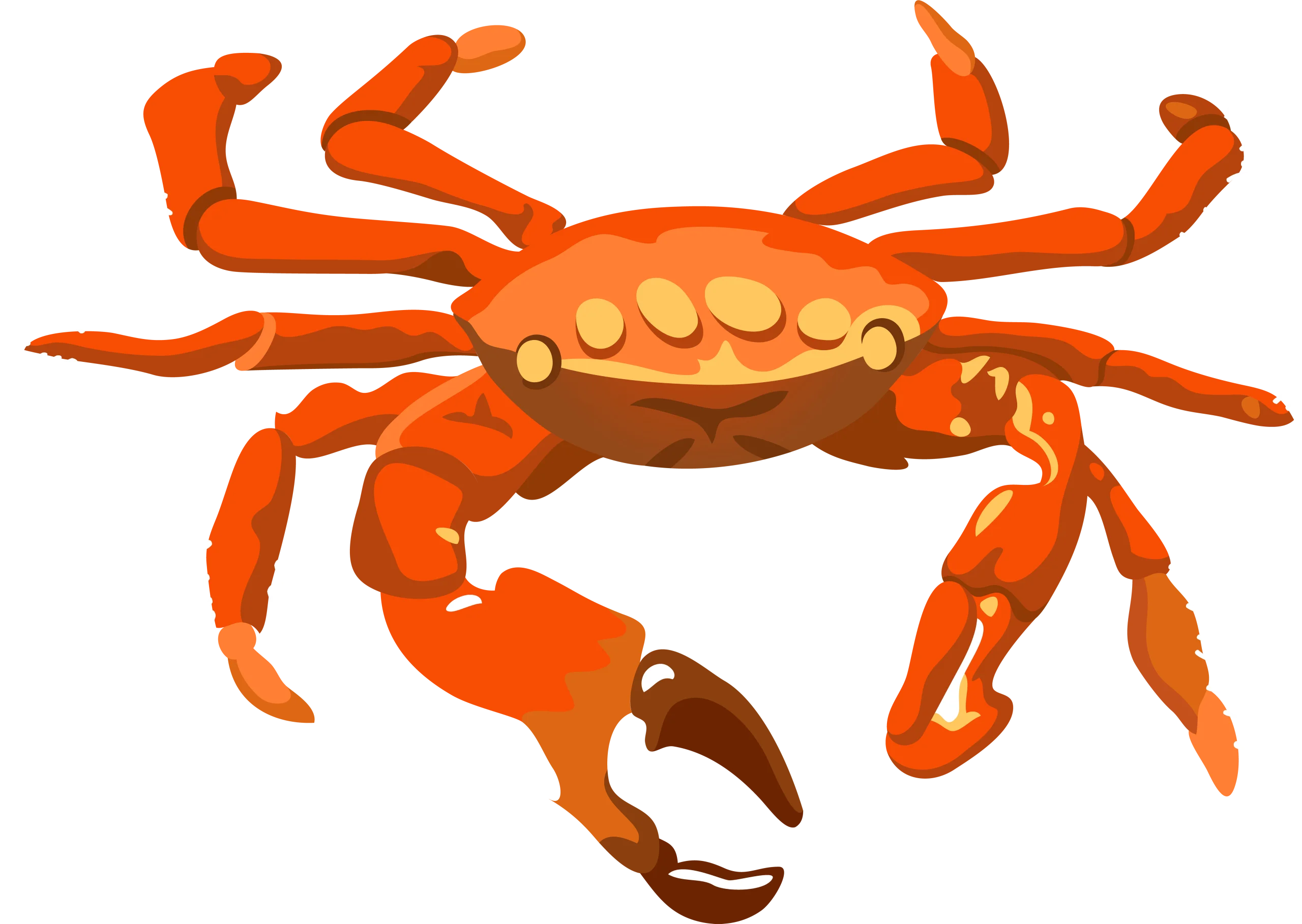 Stunning Orange Crustacean Clipart with Detailed Shell and Articulated Limbs