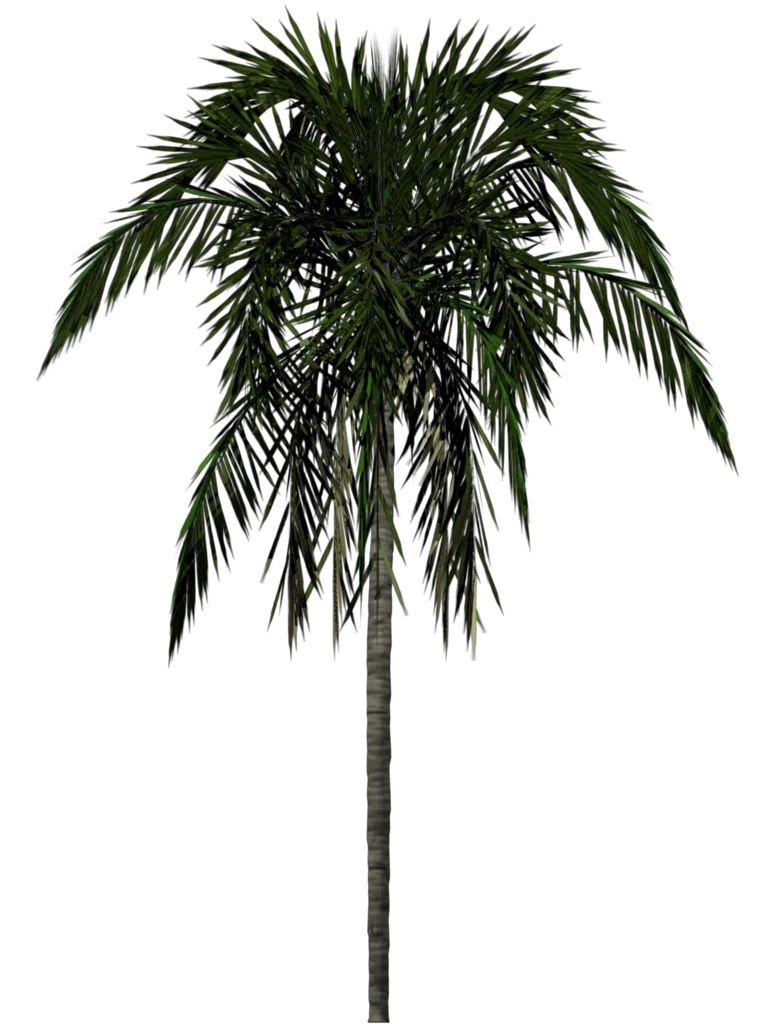 Detailed California Palm Tree Silhouette Vector Clipart with Lush Green Fronds
