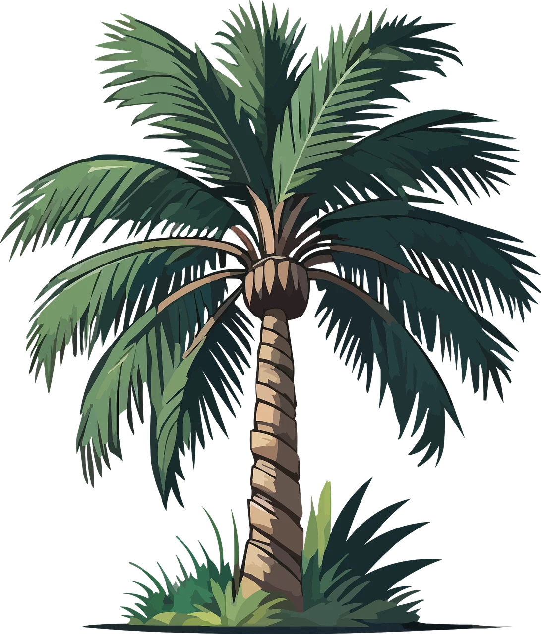 Lush California Palm Tree Clipart Illustration with Verdant Fronds