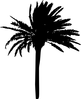 Silhouette of a Majestic California Palm Tree Clipart Design Element
