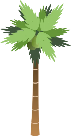 Stylized California Palm Tree Clipart with Lush Green Fronds