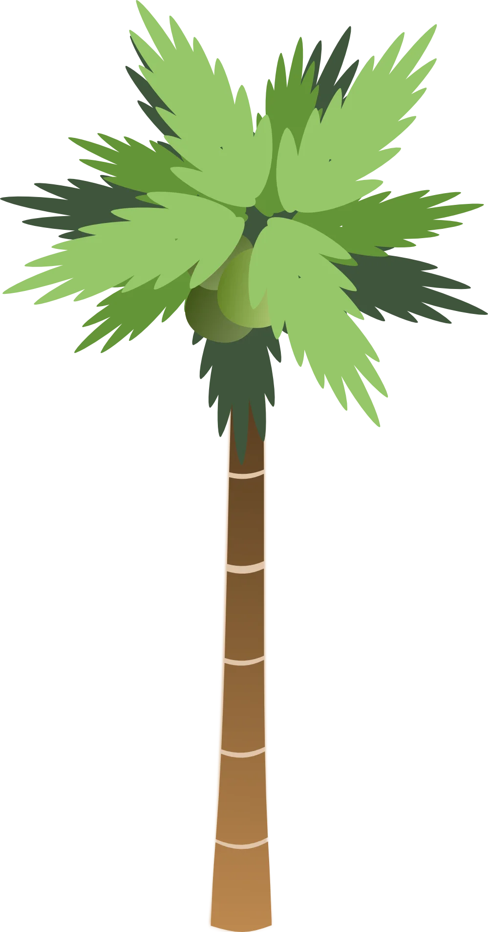 Stylized California Palm Tree Clipart with Lush Green Fronds
