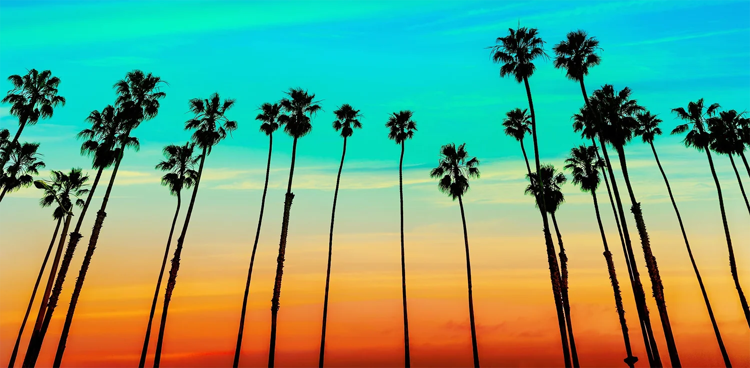 Sunset Silhouette California Palm Trees Clipart - Tropical Coastal Horizon