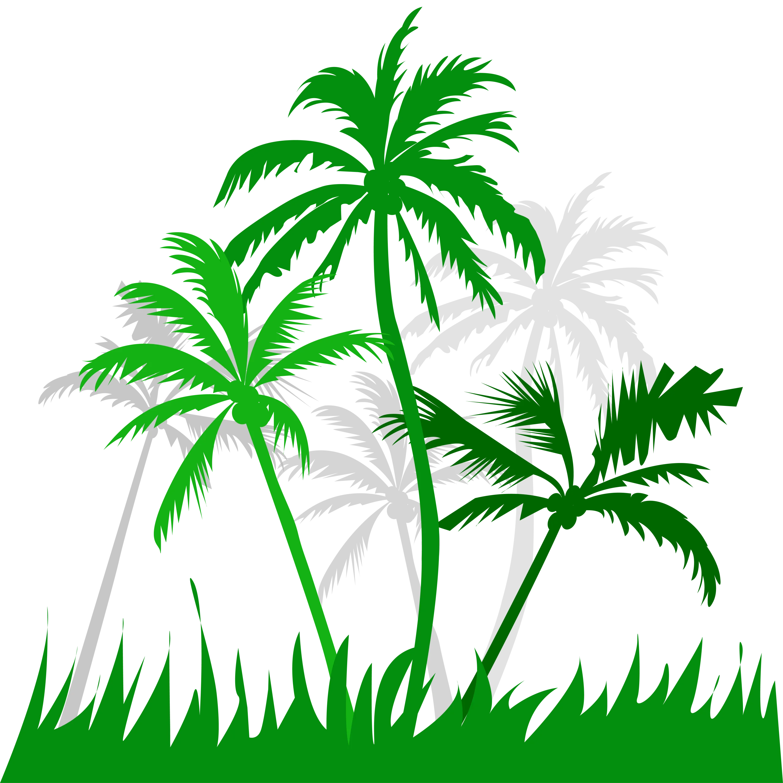 Tropical Green Palm Trees Silhouette Clipart Vector Illustration Design