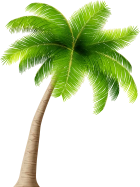 Elegant California Palm Tree Clipart: Tropical Paradise Graphic Design Element
