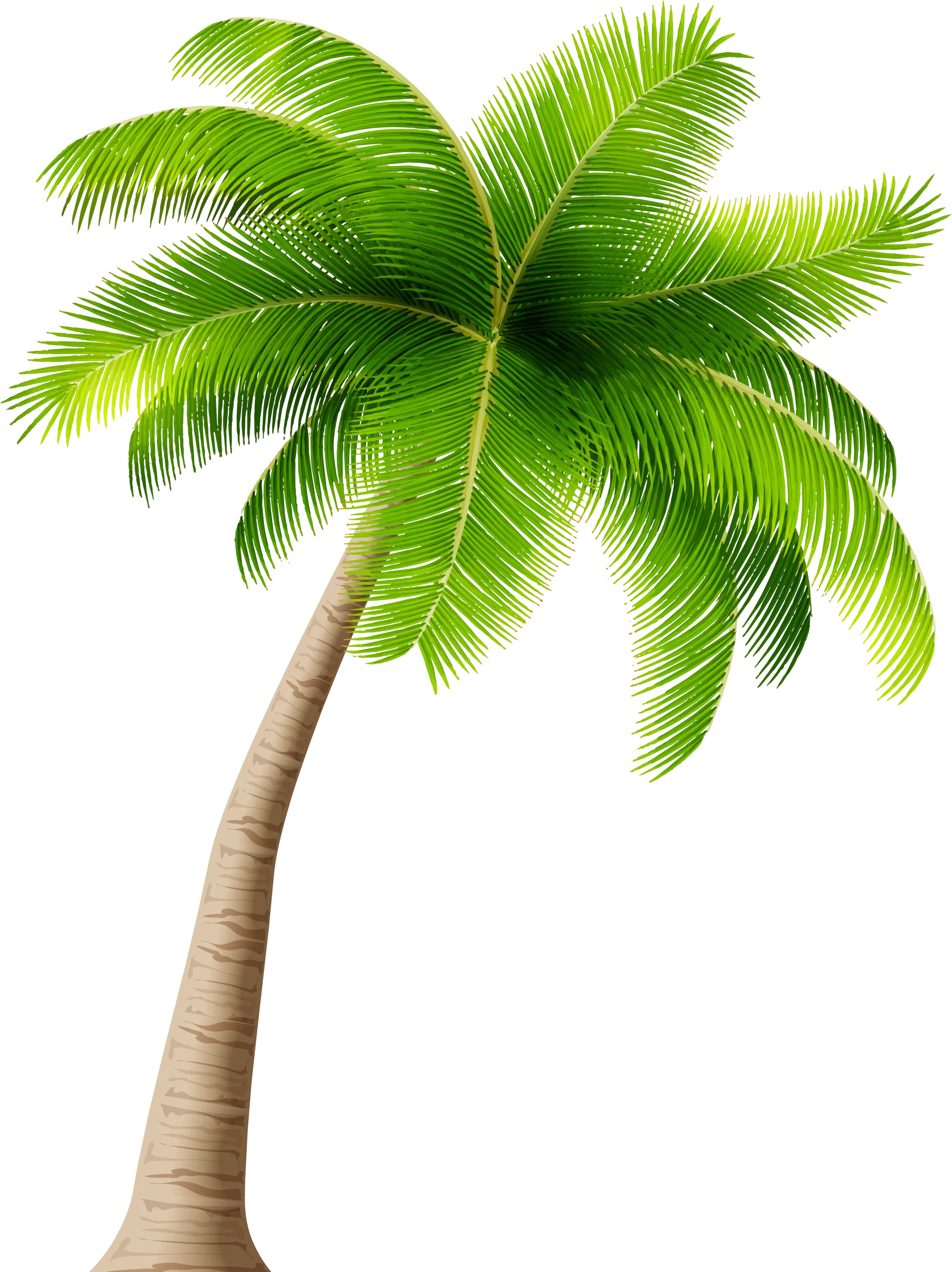 Elegant California Palm Tree Clipart: Tropical Paradise Graphic Design Element
