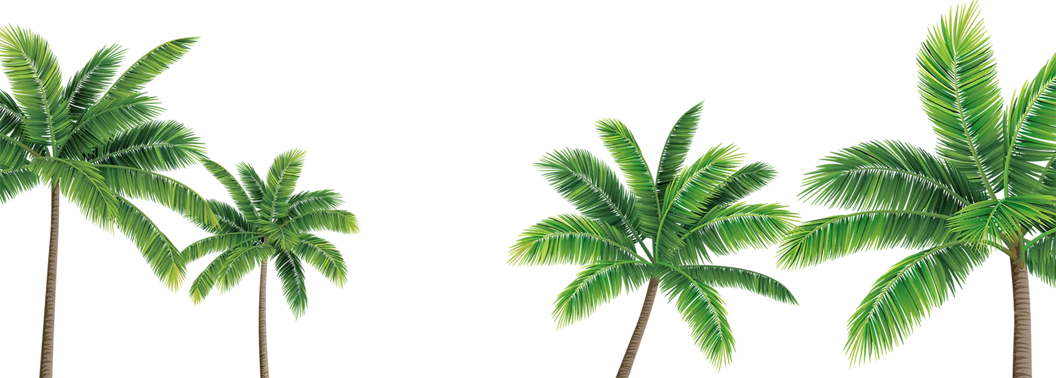 Serene California Palm Trees Clipart Collection - Tropical Landscape Design Element
