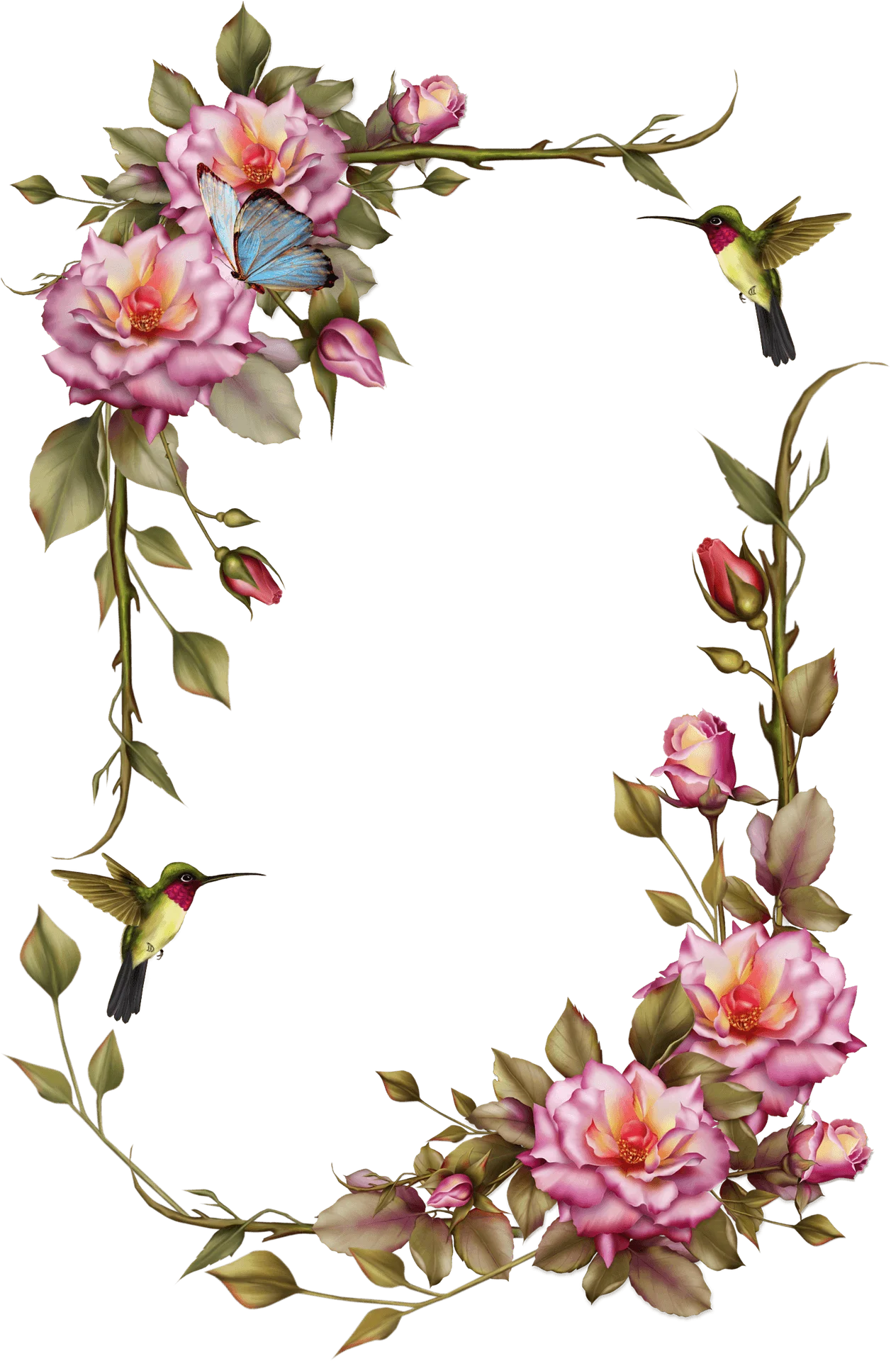 Delicate Watercolor Floral Clipart with Hummingbirds and Romantic Pink Roses