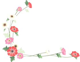 Delicate Watercolor Poppy and Wildflower Clipart Border with Soft Pastel Hues