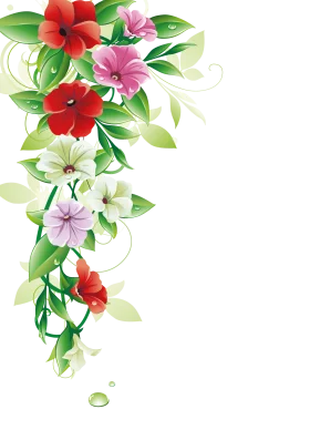 Elegant Cascading Floral Clipart with Red, Pink, and White Blossoms