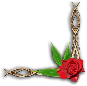 Elegant Golden Twist Decorative Border Clipart with Crimson Rose Accent