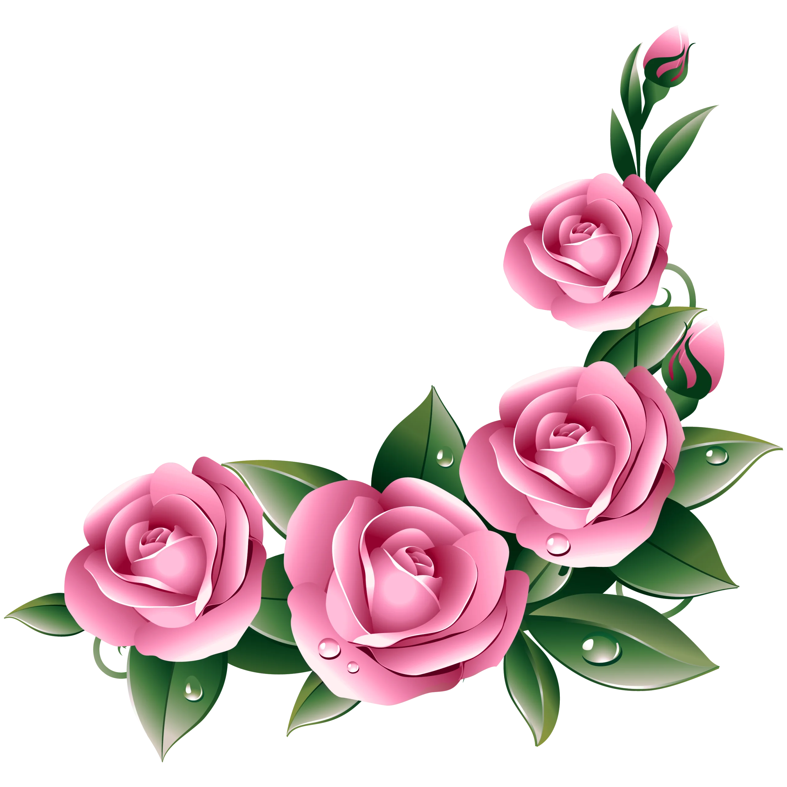 Elegant Pink Rose Corner Clipart with Lush Green Leaves and Soft Petals