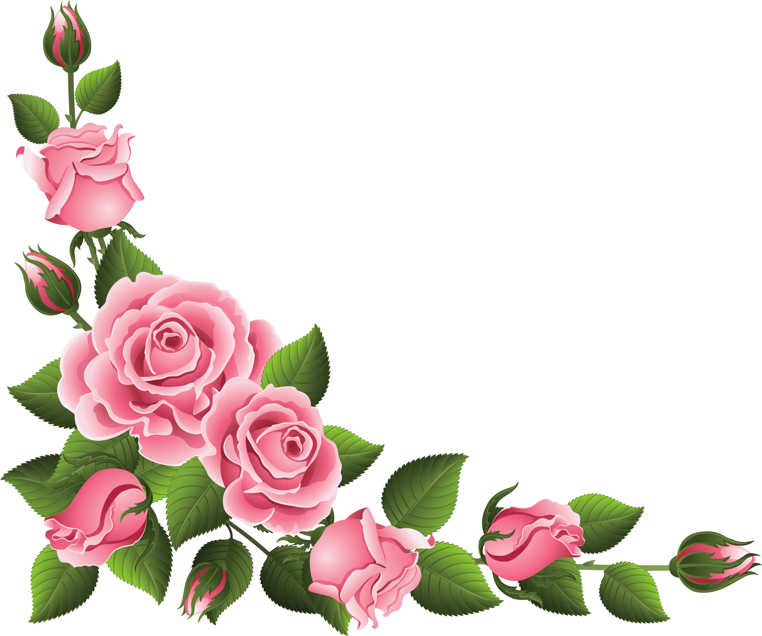 Elegant Pink Roses Corner Border Clipart with Delicate Green Leaves and Buds