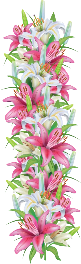 Elegant Vertical Lily Arrangement Floral Clipart Design with Pink and White Blossoms
