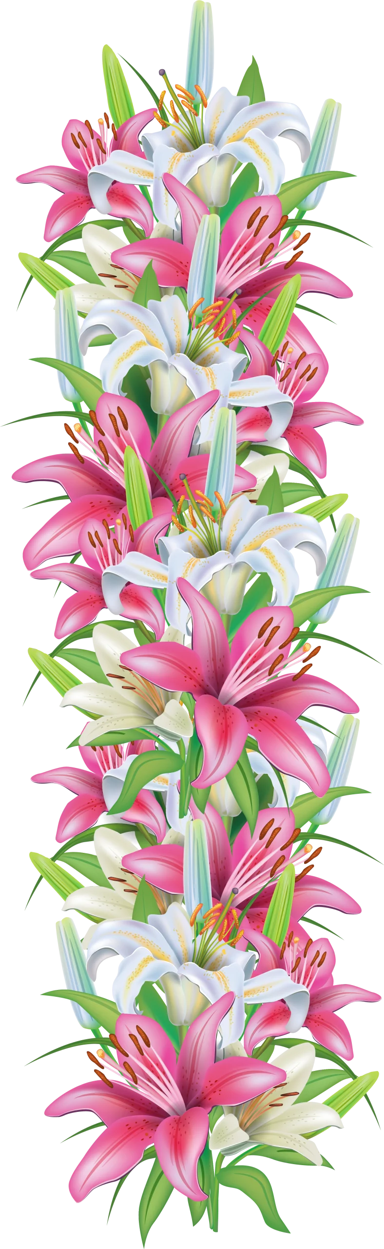 Elegant Vertical Lily Arrangement Floral Clipart Design with Pink and White Blossoms