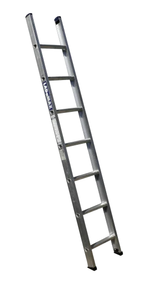 Professional Single Section Aluminum Straight Ladder Clipart for Construction and DIY Projects