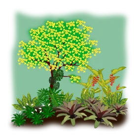 Lush Tropical Garden Landscape Clipart with Flowering Tree and Bromeliad Plants