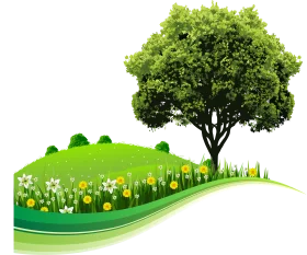Serene Green Landscape Clipart with Lush Tree and Blooming Meadow Field