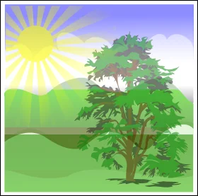 Serene Green Landscape with Radiant Sun and Lush Tree Clipart Illustration