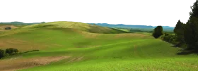 Serene Rolling Green Hills Landscape Clipart with Pastoral Meadow Scene