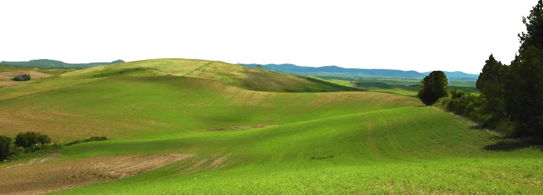 Serene Rolling Green Hills Landscape Clipart with Pastoral Meadow Scene