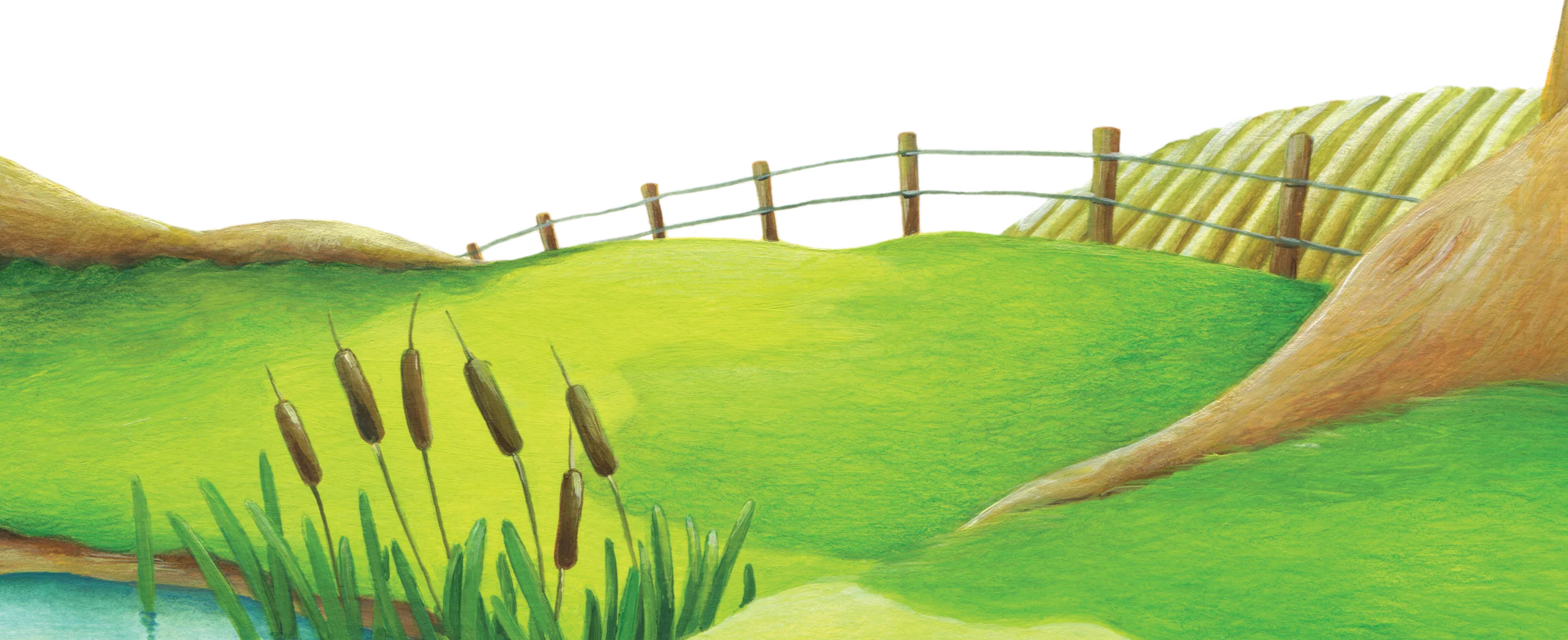 Serene Rural Landscape Clipart with Lush Green Field and Wooden Fence