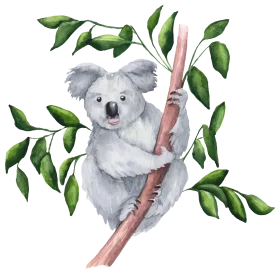 Charming Watercolor Koala Bear Sitting on Branch Delightful Nature Clipart Illustration