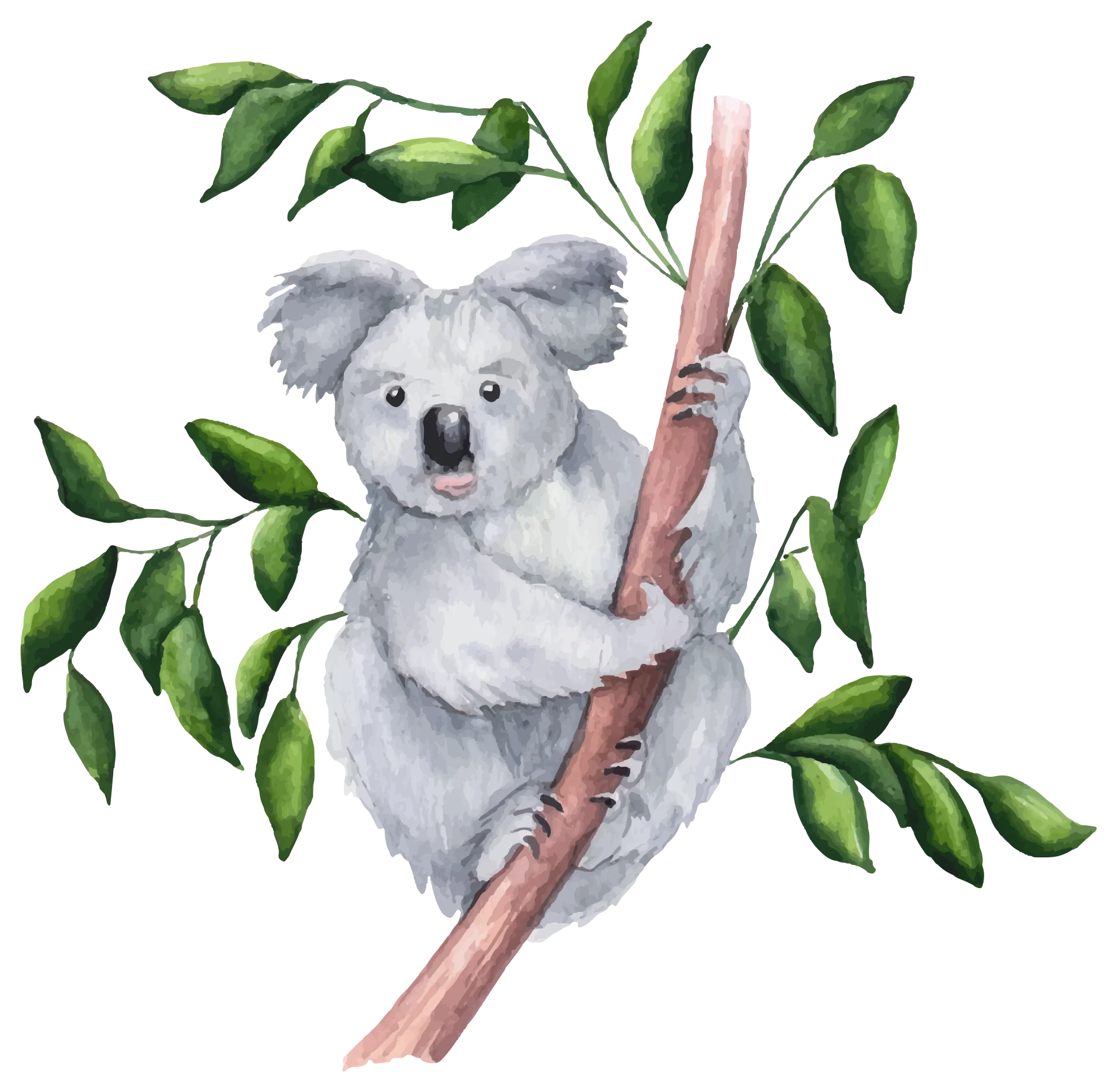 Charming Watercolor Koala Bear Sitting on Branch Delightful Nature Clipart Illustration