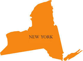 Stylish Orange New York State Outline Clipart Graphic Design Element