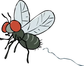 Cartoon Housefly Clipart with Detailed Transparent Wings and Red Eyes