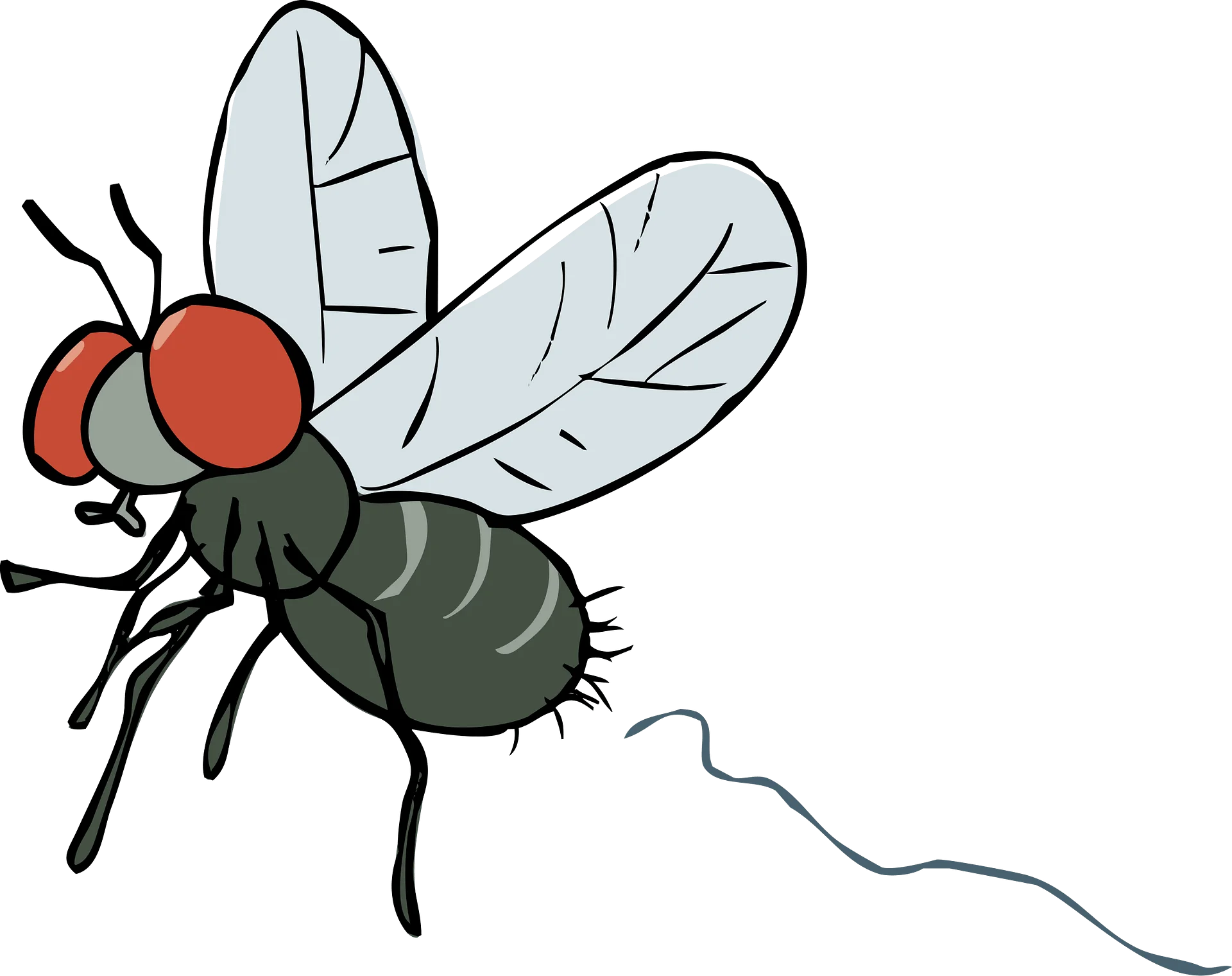 Cartoon Housefly Clipart with Detailed Transparent Wings and Red Eyes