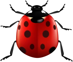 Charming Ladybug Clipart with Bold Red Shell and Black Spots Illustration