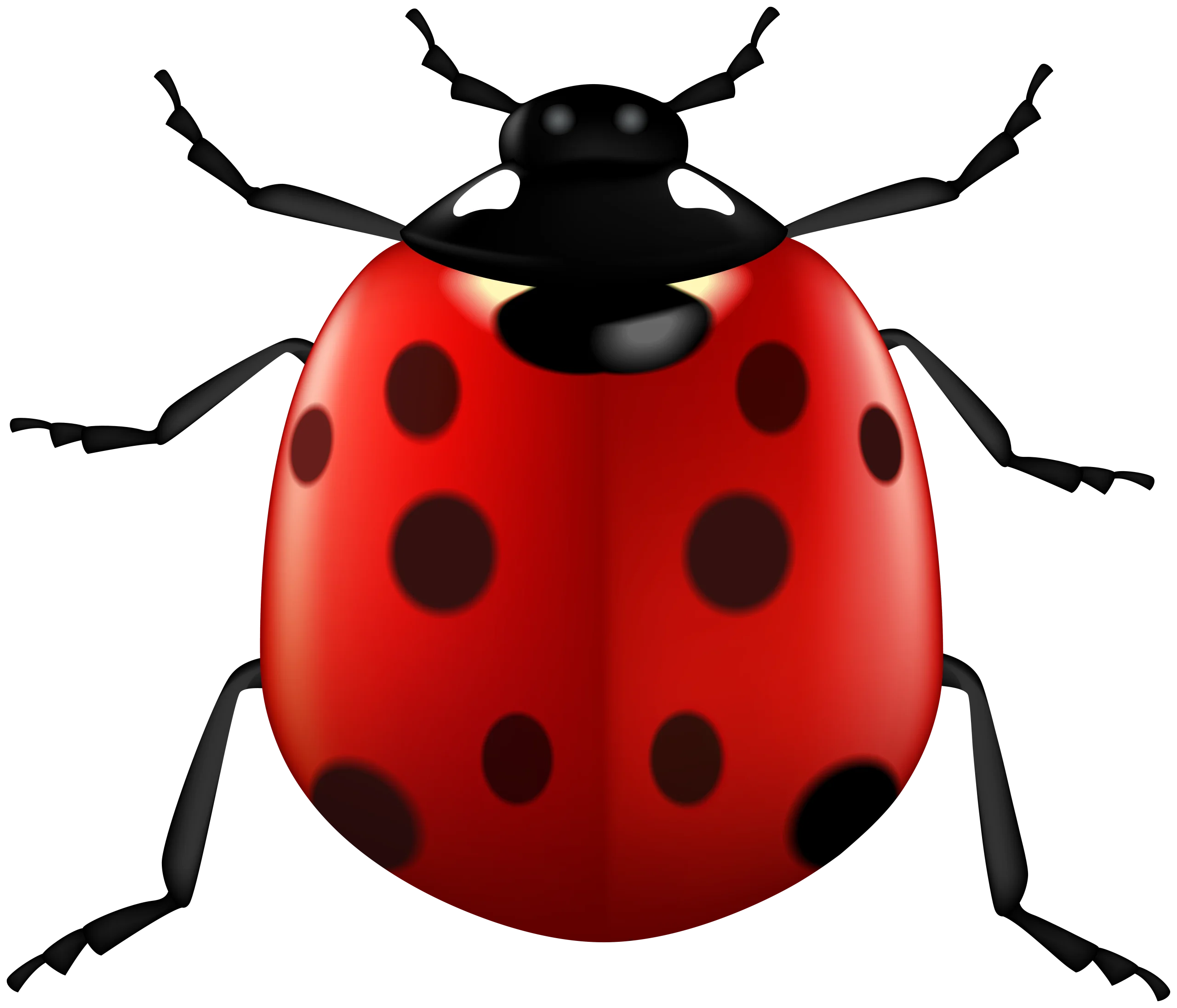 Charming Ladybug Clipart with Bold Red Shell and Black Spots Illustration