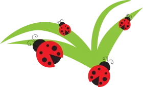 Cheerful Ladybug Family Resting on Green Leaf Clipart Illustration