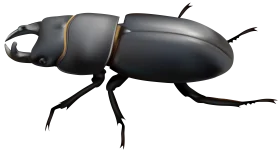 Detailed Black Stag Beetle Clipart with Dramatic Segmented Body Design