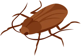 Detailed Brown Cockroach Clipart Illustration with Distinct Anatomical Features