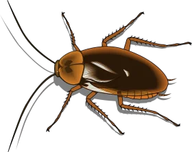 Detailed Realistic Brown Cockroach Clipart with Intricate Anatomical Features