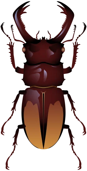 Detailed Stag Beetle Clipart Illustration with Intricate Anatomical Precision