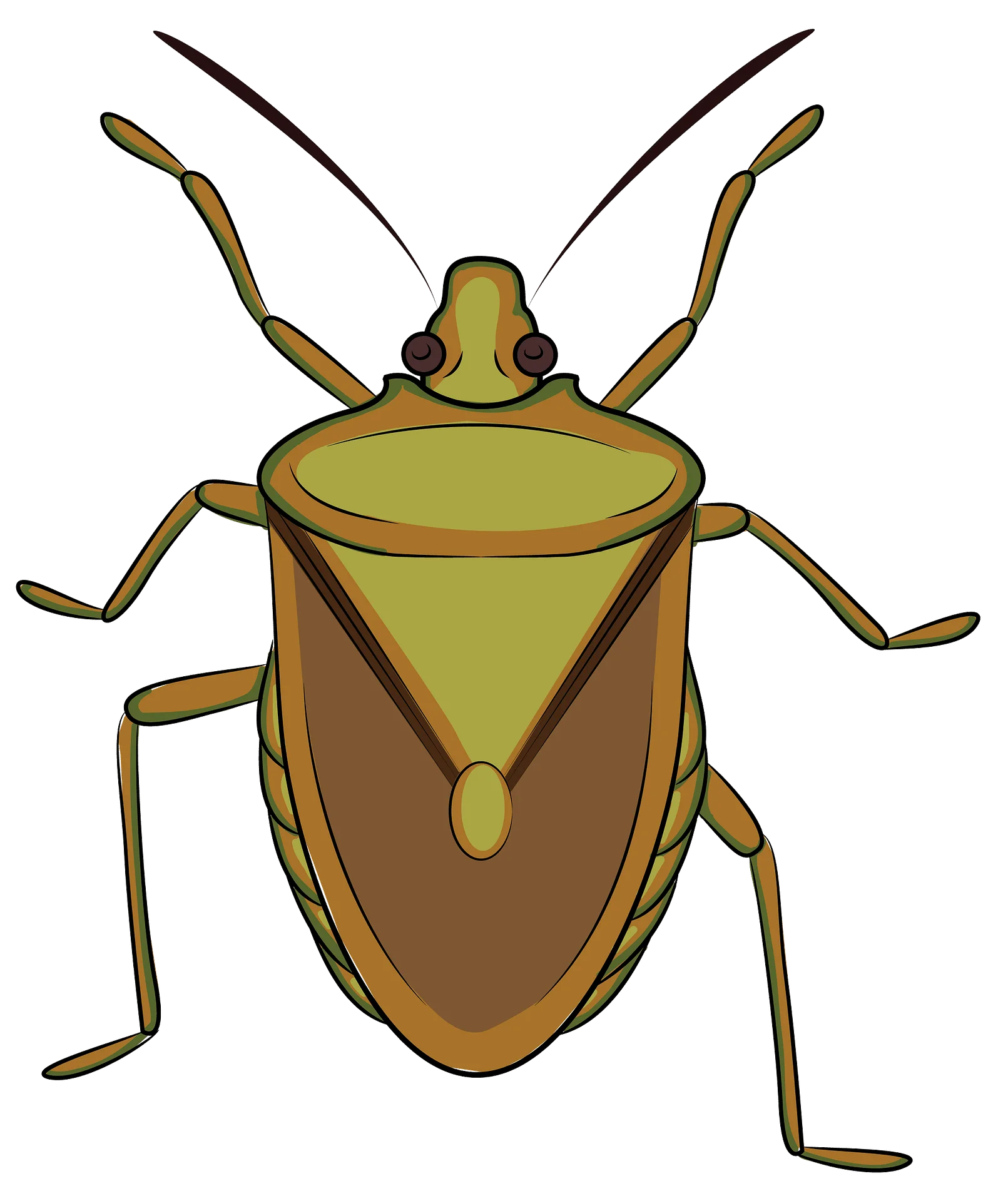Detailed Stink Bug Clipart Illustration with Geometric Shape Design and Natural Colors