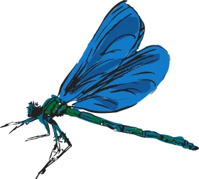 Elegant Blue and Green Dragonfly Insect Clipart Illustration Design