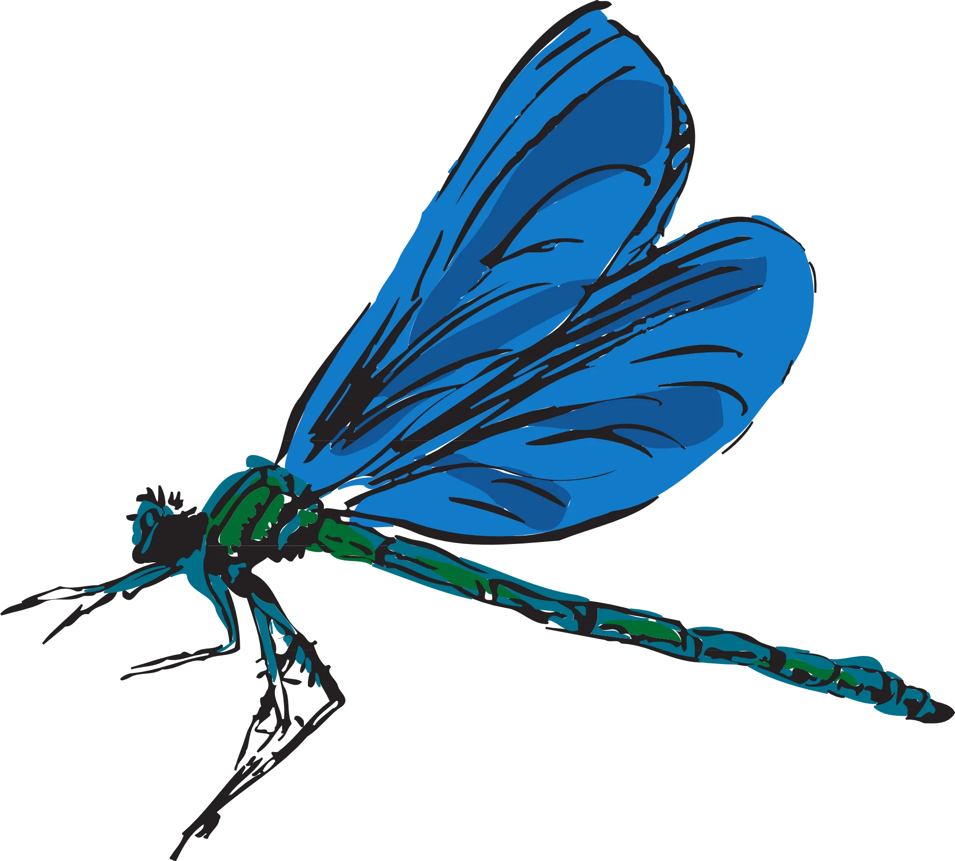 Elegant Blue and Green Dragonfly Insect Clipart Illustration Design