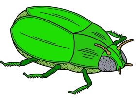Lime Green Beetle Clipart: Detailed Illustration of a Stylized Insect