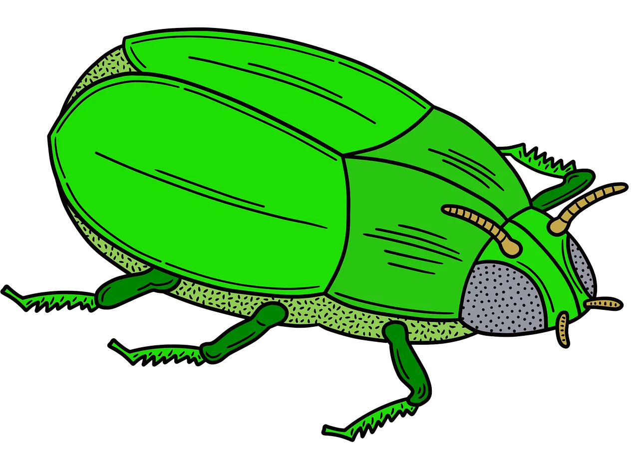 Lime Green Beetle Clipart: Detailed Illustration of a Stylized Insect